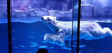 横浜・八景島シーパラダイスに投稿された画像（2021/7/27）