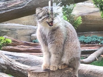 那須どうぶつ王国に投稿された画像（2021/7/27）