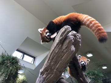 那須どうぶつ王国に投稿された画像（2021/7/27）