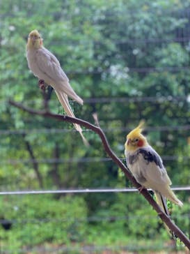 伊豆アニマルキングダムに投稿された画像（2021/7/27）