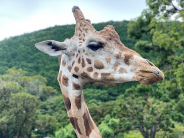 伊豆アニマルキングダムに投稿された画像（2021/7/27）