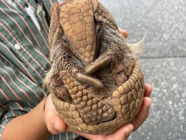 伊豆アニマルキングダムに投稿された画像（2021/7/27）