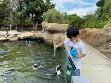 神戸どうぶつ王国に投稿された画像（2021/7/27）