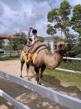 神戸どうぶつ王国に投稿された画像（2021/7/27）