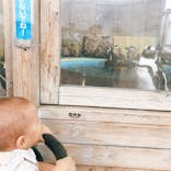 名古屋港水族館に投稿された画像（2021/7/28）