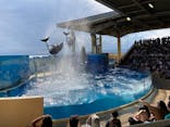 新江ノ島水族館に投稿された画像（2021/7/28）