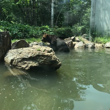 サホロリゾート　ベア･マウンテンに投稿された画像（2021/7/28）