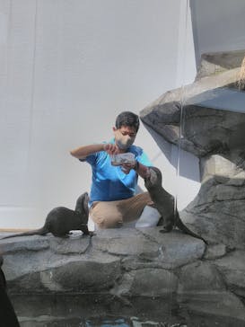 四国水族館に投稿された画像（2021/7/28）