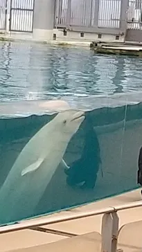 横浜・八景島シーパラダイスに投稿された画像（2021/7/28）