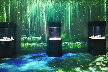 マクセル アクアパーク品川に投稿された画像（2021/7/28）