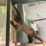 カワスイ 川崎⽔族館に投稿された画像（2021/7/28）