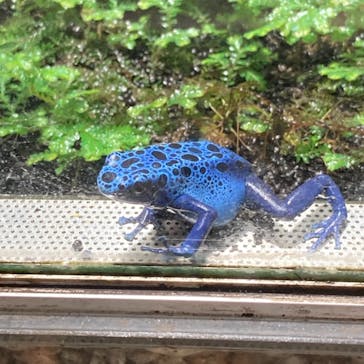 カワスイ 川崎⽔族館に投稿された画像（2021/7/28）