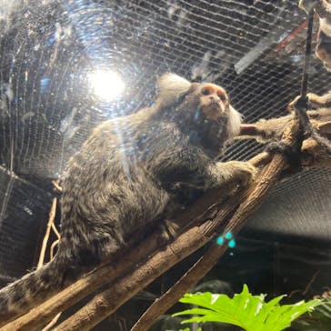 カワスイ 川崎⽔族館に投稿された画像（2021/7/28）