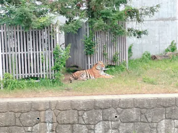天王寺動物園に投稿された画像（2021/7/28）