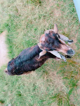 天王寺動物園に投稿された画像（2021/7/28）