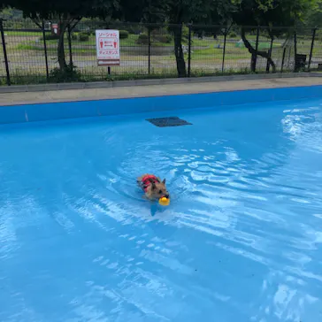 わんダフルネイチャーヴィレッジに投稿された画像（2021/7/28）