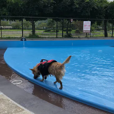 わんダフルネイチャーヴィレッジに投稿された画像（2021/7/28）