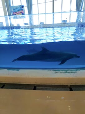 アクアワールド茨城県大洗水族館に投稿された画像（2021/7/28）