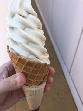 四国水族館に投稿された画像（2021/7/28）