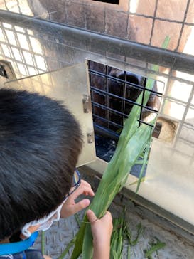 群馬サファリパークに投稿された画像（2021/7/28）