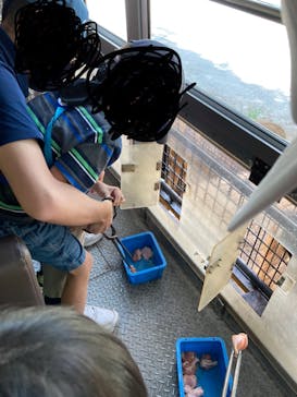 群馬サファリパークに投稿された画像（2021/7/28）