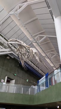 アクアワールド茨城県大洗水族館に投稿された画像（2021/7/28）