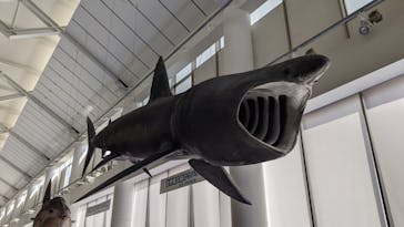 アクアワールド茨城県大洗水族館に投稿された画像（2021/7/28）