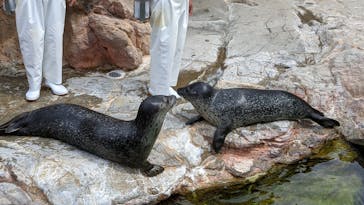 アクアワールド茨城県大洗水族館に投稿された画像（2021/7/28）