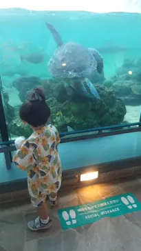 横浜・八景島シーパラダイスに投稿された画像（2021/7/28）