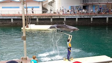 伊豆・三津シーパラダイスに投稿された画像（2021/7/27）