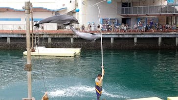 伊豆・三津シーパラダイスに投稿された画像（2021/7/27）