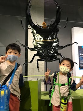 特別展「昆虫」(名古屋市科学館)に投稿された画像（2021/7/29）