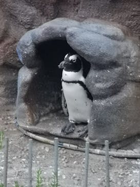 サンシャイン水族館に投稿された画像（2021/7/29）