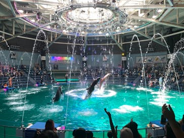 マクセル アクアパーク品川に投稿された画像（2021/7/29）