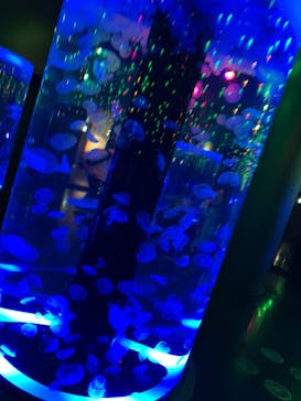 マクセル アクアパーク品川に投稿された画像（2021/7/29）