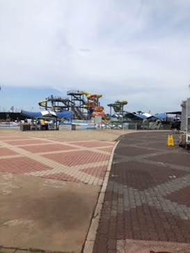 蓮沼ウォーターガーデンに投稿された画像（2021/7/29）