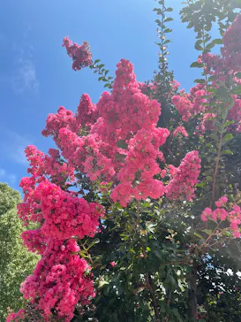 天王寺動物園に投稿された画像（2021/7/29）