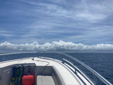 Sea World（シーワールド）に投稿された画像（2021/7/29）