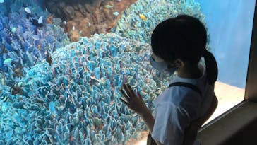 サンシャイン水族館に投稿された画像（2021/7/29）