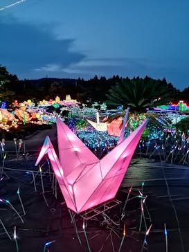 伊豆ぐらんぱる公園に投稿された画像（2021/7/29）