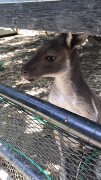 ネオパークオキナワに投稿された画像（2021/7/29）