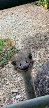 ネオパークオキナワに投稿された画像（2021/7/29）