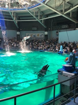 マクセル アクアパーク品川に投稿された画像（2021/7/29）