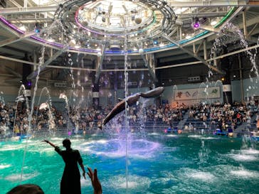 マクセル アクアパーク品川に投稿された画像（2021/7/29）