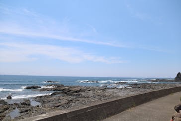 串本海中公園水族館に投稿された画像（2021/7/30）