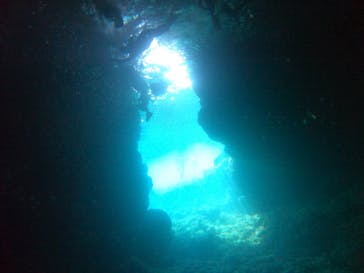 武藤潜水に投稿された画像（2021/7/30）