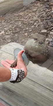 横浜・八景島シーパラダイスに投稿された画像（2021/7/30）