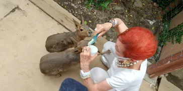 横浜・八景島シーパラダイスに投稿された画像（2021/7/30）