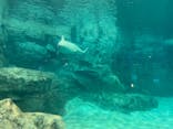 名古屋港水族館に投稿された画像（2021/7/30）
