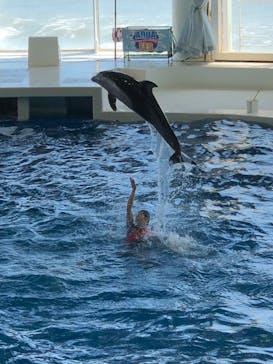 アクアワールド茨城県大洗水族館に投稿された画像（2021/7/30）